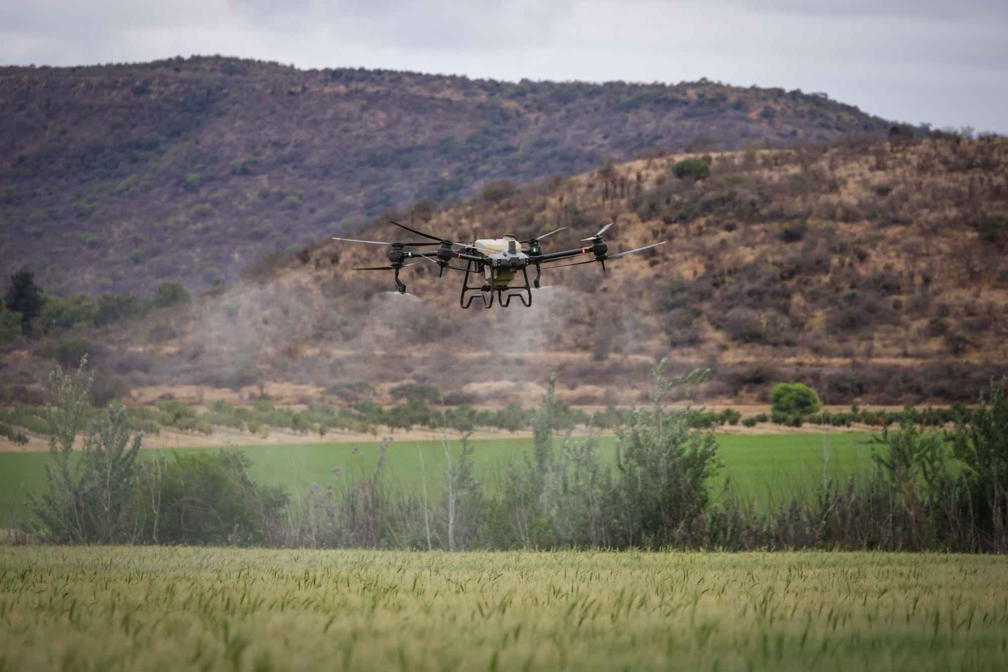 Agricultural drone spraying a field